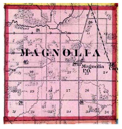 magnolia-1878.jpg